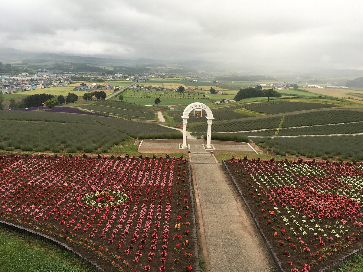 🌸 일출 공원(히노데 코엔) 이미지 7